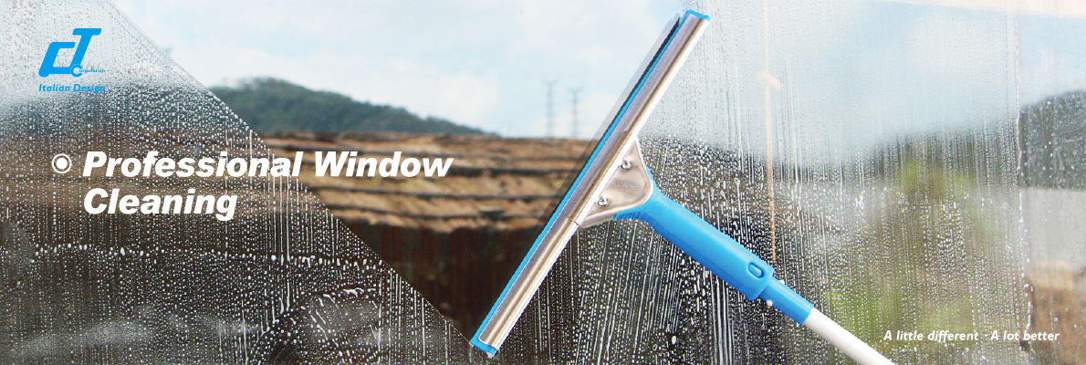 Professional Window Cleaning